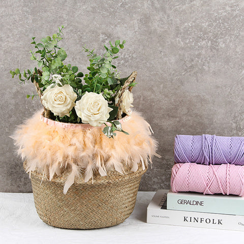 Potted Woven Storage Blank Basket