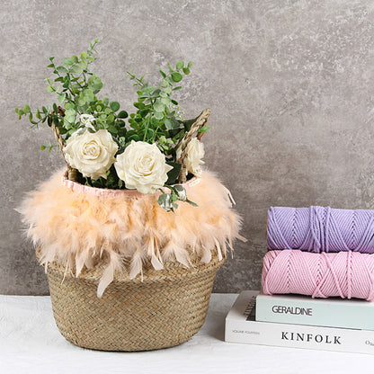 Potted Woven Storage Blank Basket
